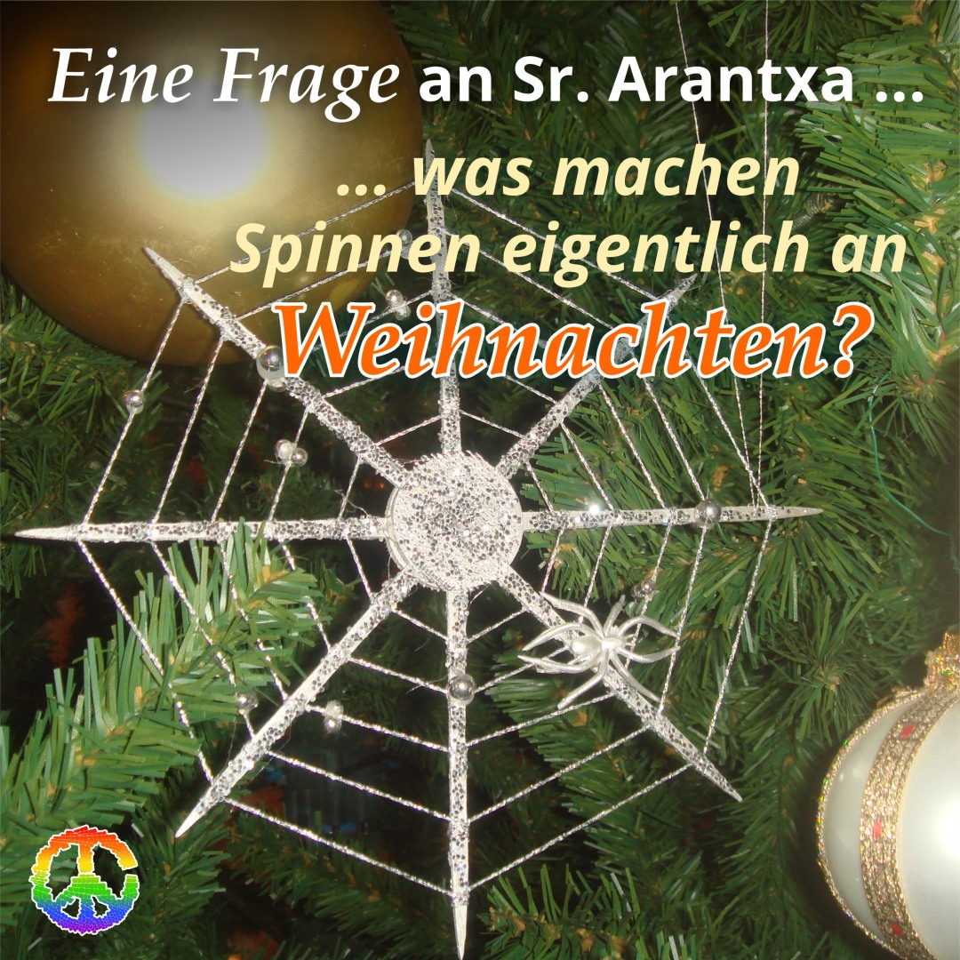 Weihnachtsspinne - Photo adapred from Daniel X. O'Neil, License: https://creativecommons.org/licenses/by/2.0/